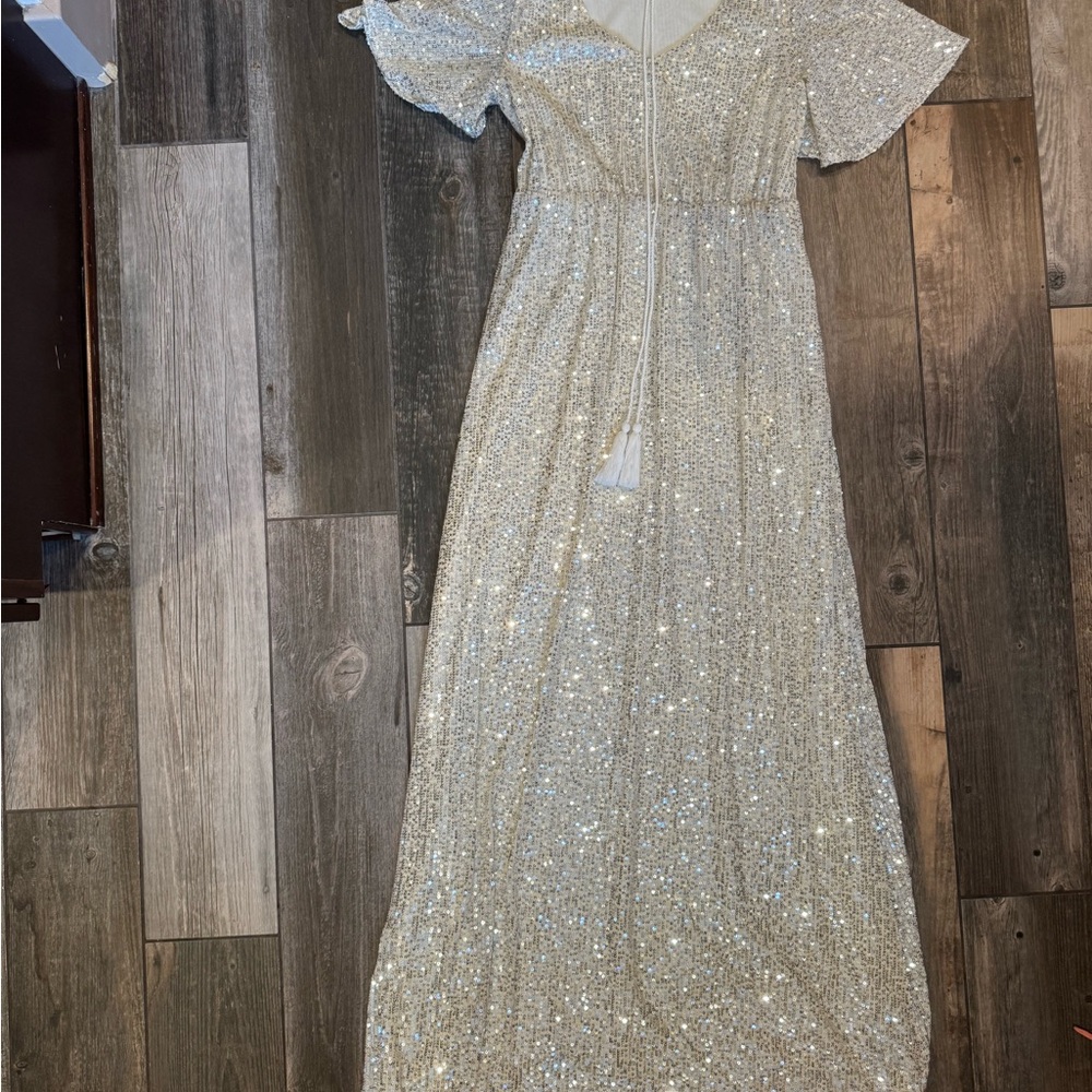 Pink blush women’s Sparkling Silver Gown
